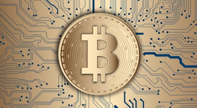 Marketrobo.net: Digitale Hilfe beim Krypto-Trading